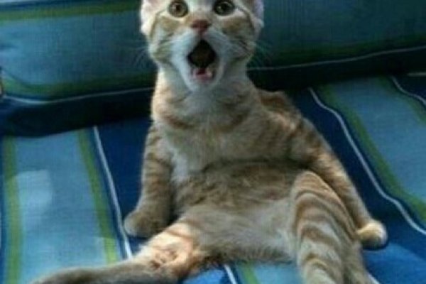 Ссылка на кракен официальный сайт