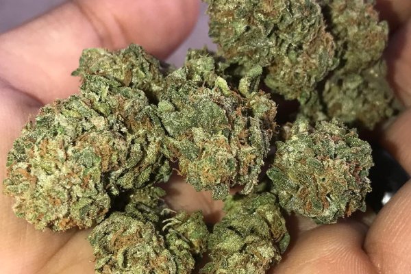 Проблемы со входом на кракен