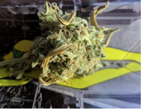 Кракен адрес тор