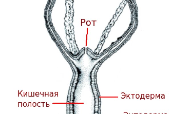 Кракен 17 at вход