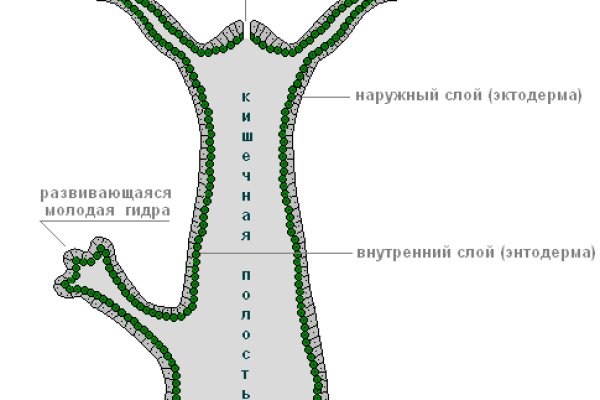 Зайти на кракен тор