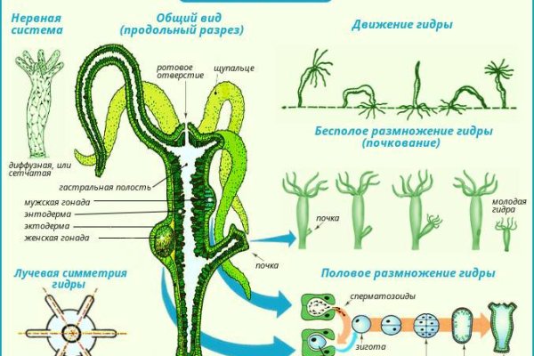 Как найти официальный сайт кракен