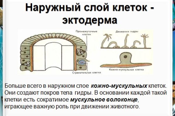 Кракен даркнет текст